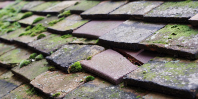 Llanfihangel Rogiet roof repair costs